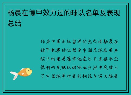 杨晨在德甲效力过的球队名单及表现总结
